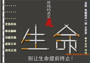 瀏陽市平面設計與軟件開發 融合創意與科技，打造品牌新動力