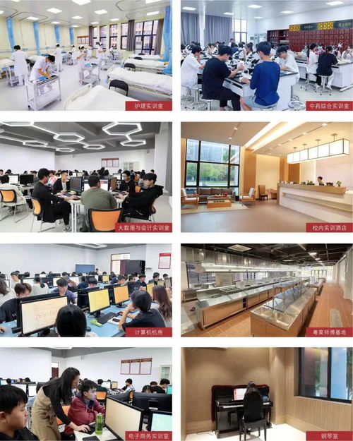 廣東酒店管理職業(yè)技術(shù)學(xué)院2024年春季高考餐飲管理專(zhuān)業(yè)詳解 開(kāi)啟酒店服務(wù)業(yè)職業(yè)新篇章